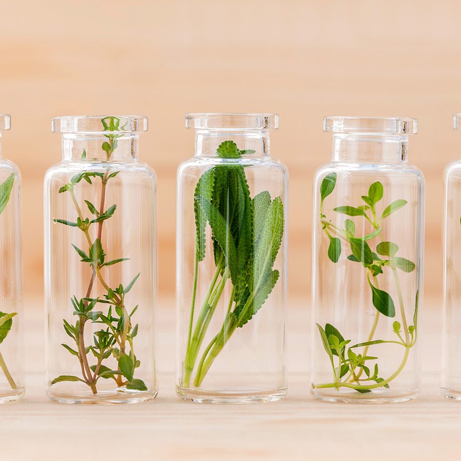 Bottle of essential oil lemon thyme ,thyme ,oregano,rosemary and sage leaf on wooden background.